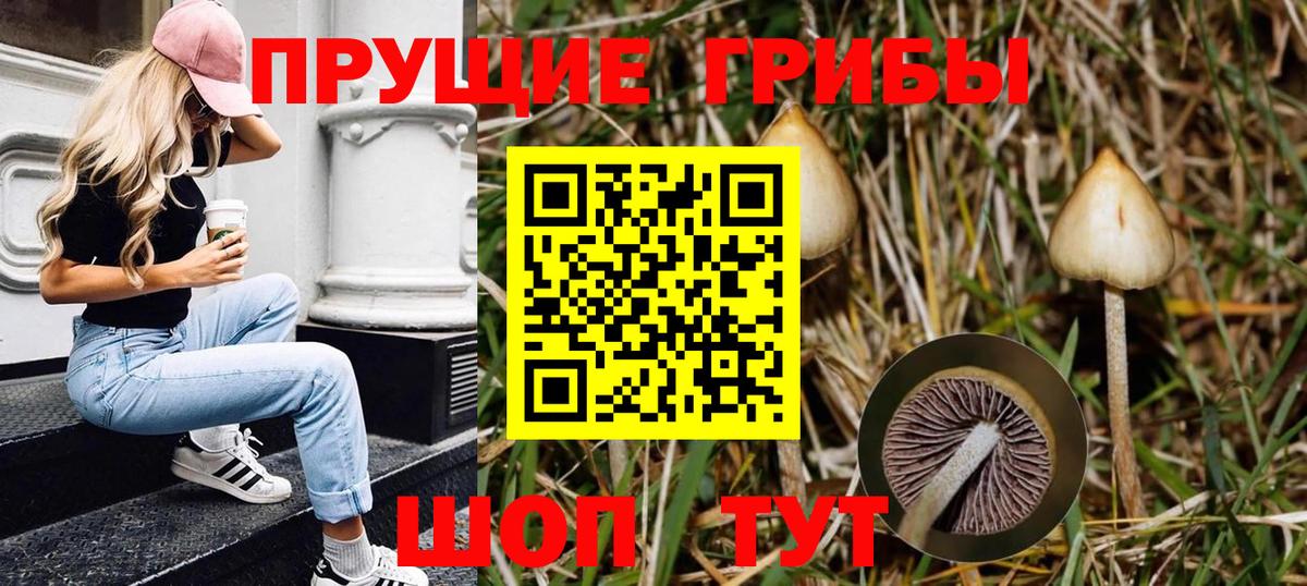 Псилоцибиновые грибы MAGIC MUSHROOMS Новочебоксарск